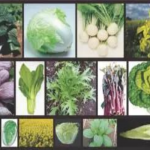 【項(xiàng)目文章】百邁客NG文章?lián)屜瓤? width=