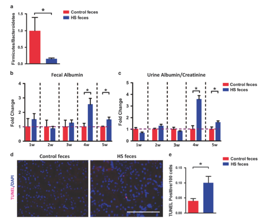 圖7 a. 亞洲棉SC，YZR和YER的選擇性清除分析；b. 全基因組關(guān)聯(lián)分析