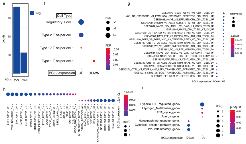 CD4+ T細(xì)胞中的BCL-2表達(dá)與Treg相關(guān)