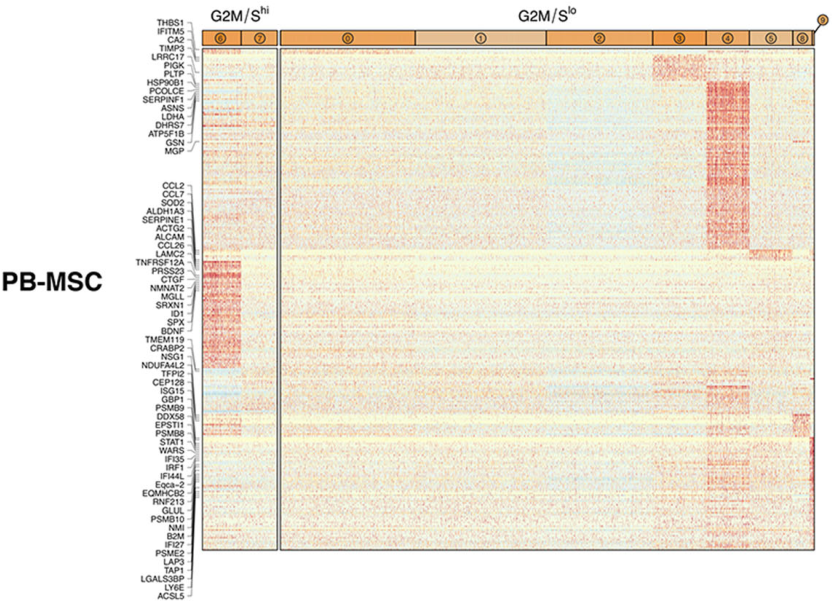 圖5從3個供體匹配組織來源分離的馬間充質基質細胞（MSCs）表現(xiàn)出源內轉錄異質性