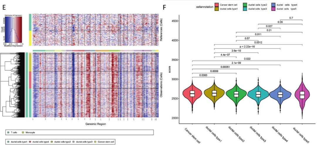 圖6?利用inferCNV揭示胰腺導(dǎo)管腺癌惡性細胞類型[11]