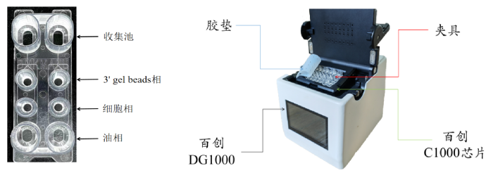 圖1：百創(chuàng)C1000芯片結(jié)構(gòu)（左圖）；百創(chuàng)DG1000微液滴生成儀（右圖）