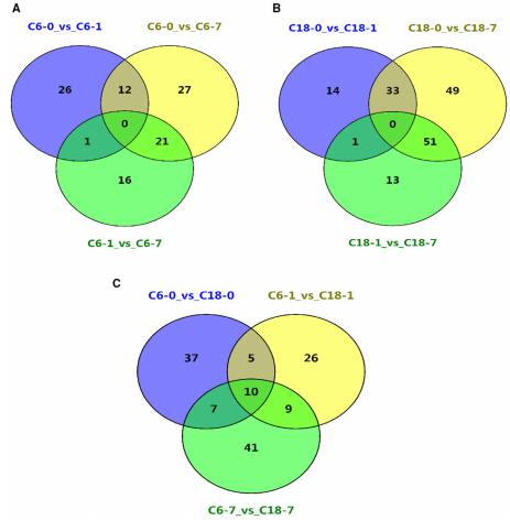 所有時間點共有的差異代謝物的維恩圖
