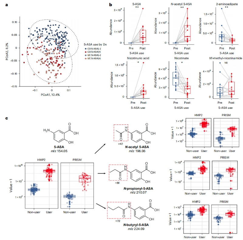 5-ASA可直接影響糞便代謝組，并通過微生物組進(jìn)行生物轉(zhuǎn)化